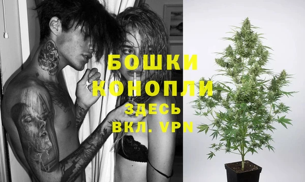 гашик Слюдянка