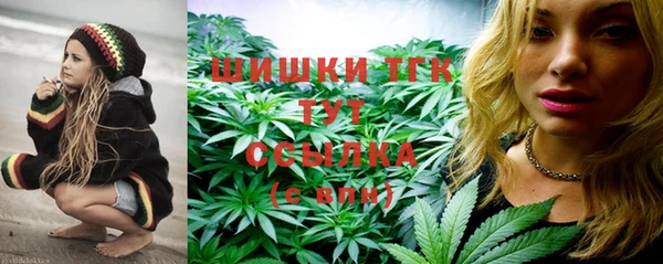гашик Слюдянка