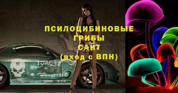 первитин Снежногорск