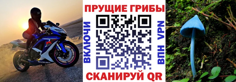 Псилоцибиновые грибы мицелий Красный Сулин